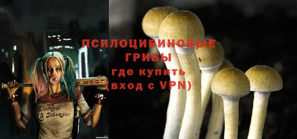 первитин Лиски