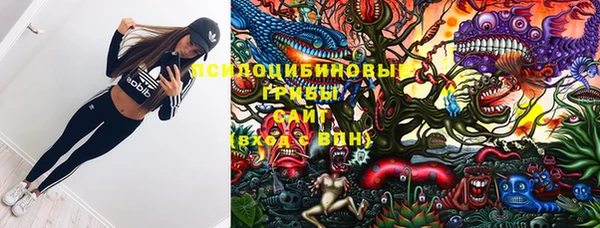крисы Щучье