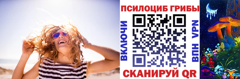 МЕГА вход  Мурино  Галлюциногенные грибы прущие грибы 