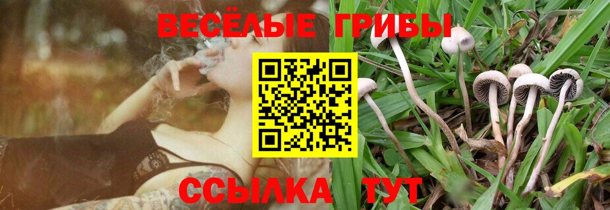 Мурино  Псилоцибиновые грибы мицелий  Вход с VPN 